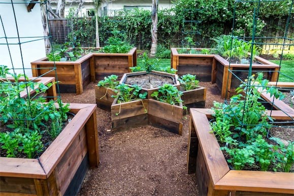 victoria-best-handyman-raised-garden-beds